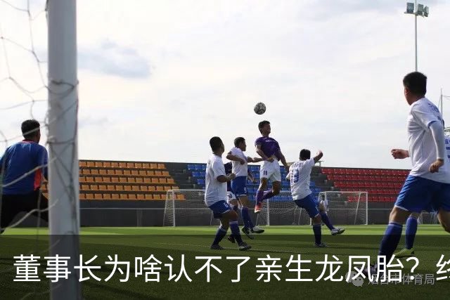 董事长为啥认不了亲生龙凤胎?终于真相大白!